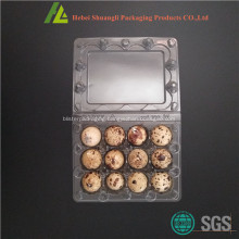 12 Holes plastic quail egg tray on sale